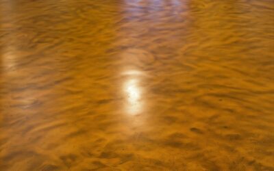 Enhance Your Space with Stained Concrete Floors: Durable, Stylish, and Affordable